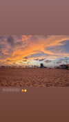 daria.lesin Altpins Profile Picture