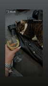 daria.lesin Altpins Profile Picture