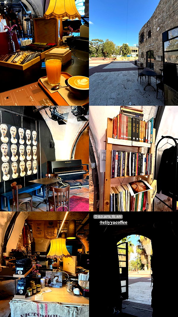 daria.lesin daria.lesin archive image