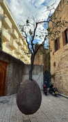 daria.lesin Altpins Profile Picture