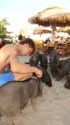 daria_ben_am Altpins Profile Picture