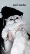 delicatedo11y Altpins Profile Picture