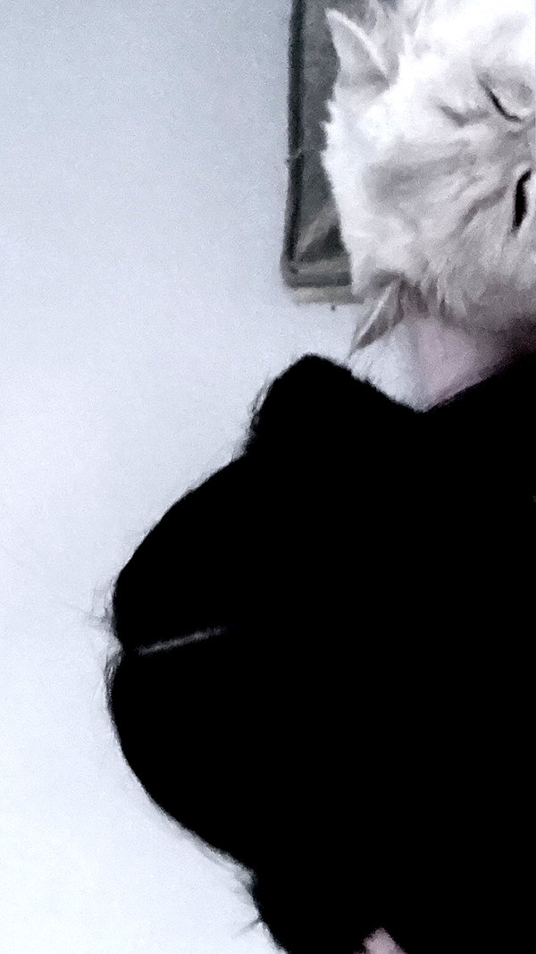 delicatedo11y instagram image archive image