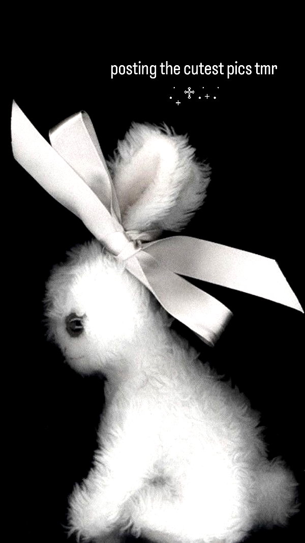 delicatedo11y instagram image archive image