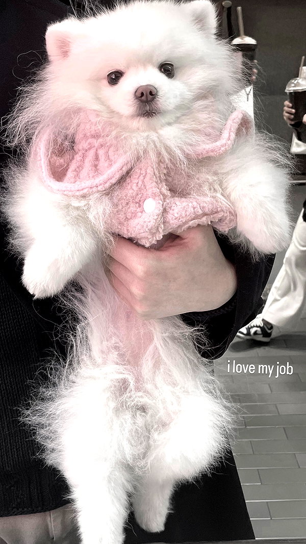 delicatedo11y instagram image archive image