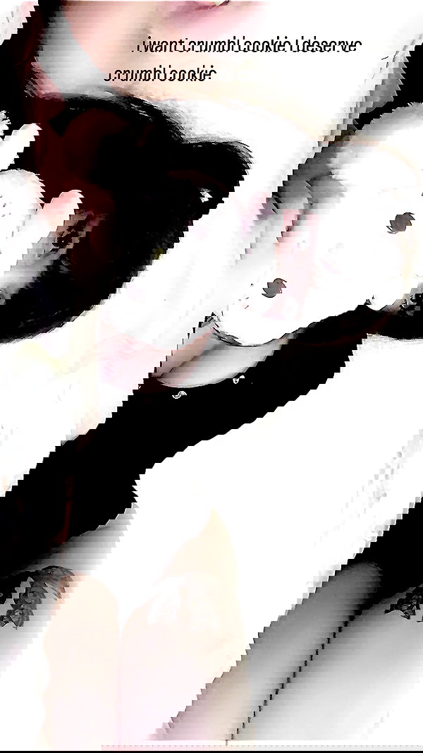 delicatedo11y delicatedo11y archive image