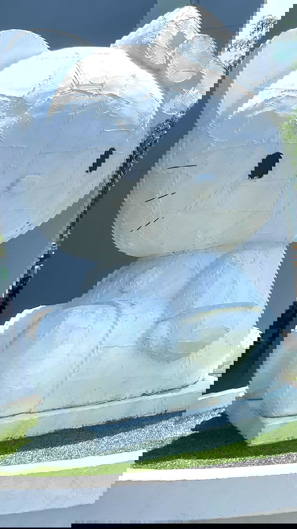 delicatedo11y delicatedo11y archive image