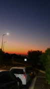 diana.minaev_ Altpins Profile Picture