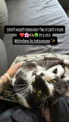 diana.rozz Altpins Profile Picture