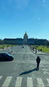 diana_polin Altpins Profile Picture