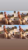 diana_polin Altpins Profile Picture