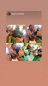diana_polin Altpins Profile Picture