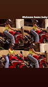 diana_polin Altpins Profile Picture