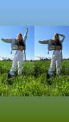 diana_polin Altpins Profile Picture