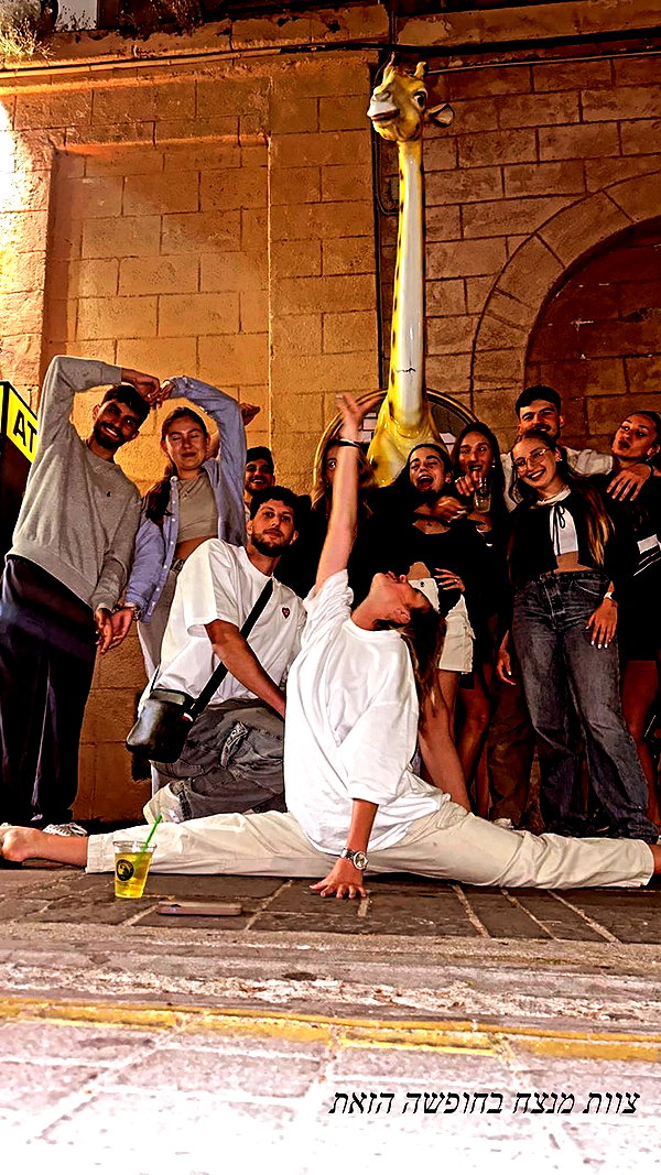 diana_polin diana_polin archive image