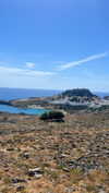 diana_polin Altpins Profile Picture