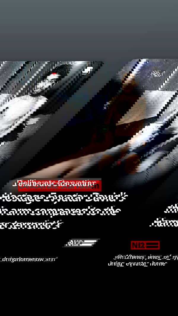 diana_polin diana_polin archive image