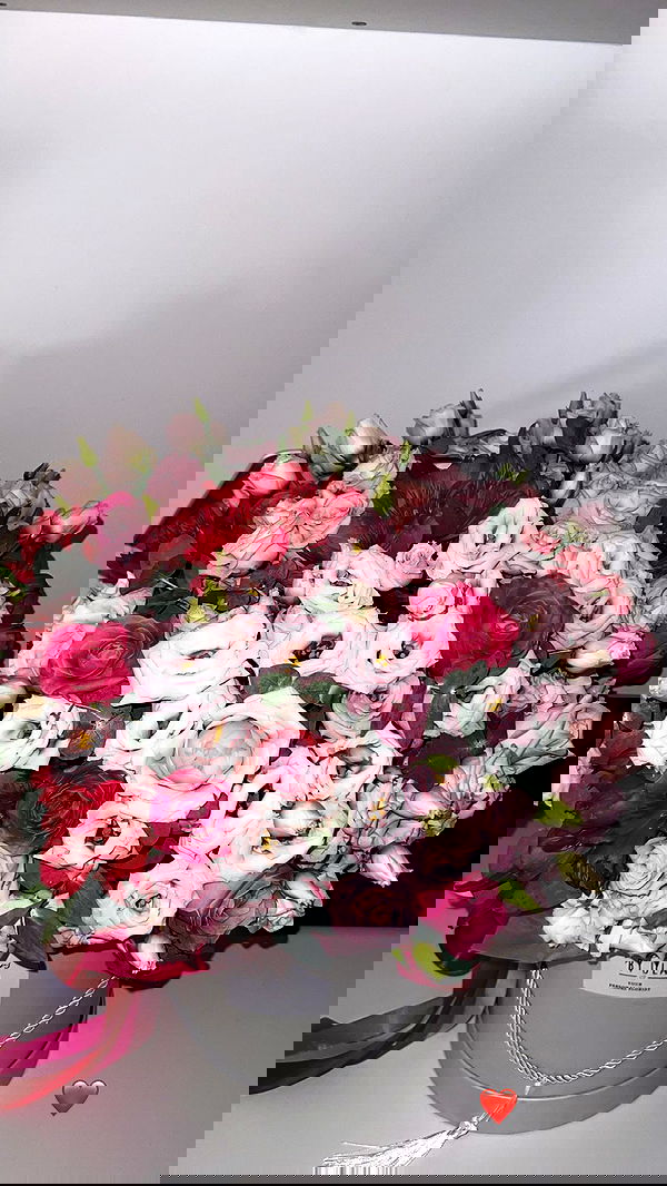 diana_polin diana_polin archive image