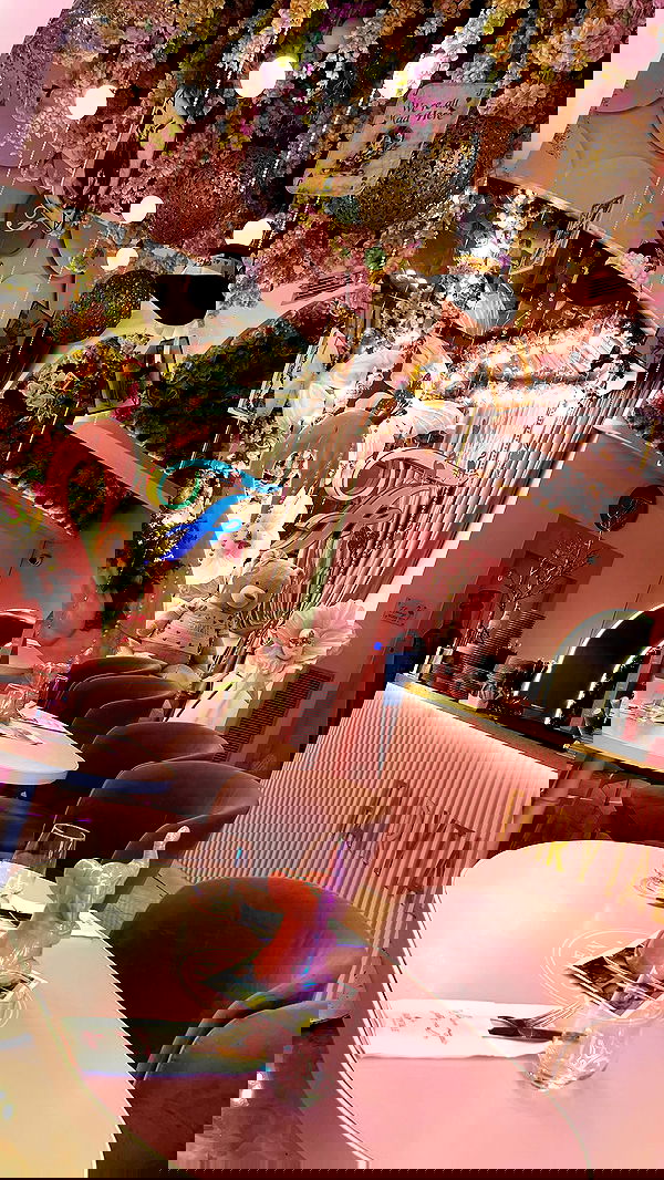 diana_polin diana_polin archive image