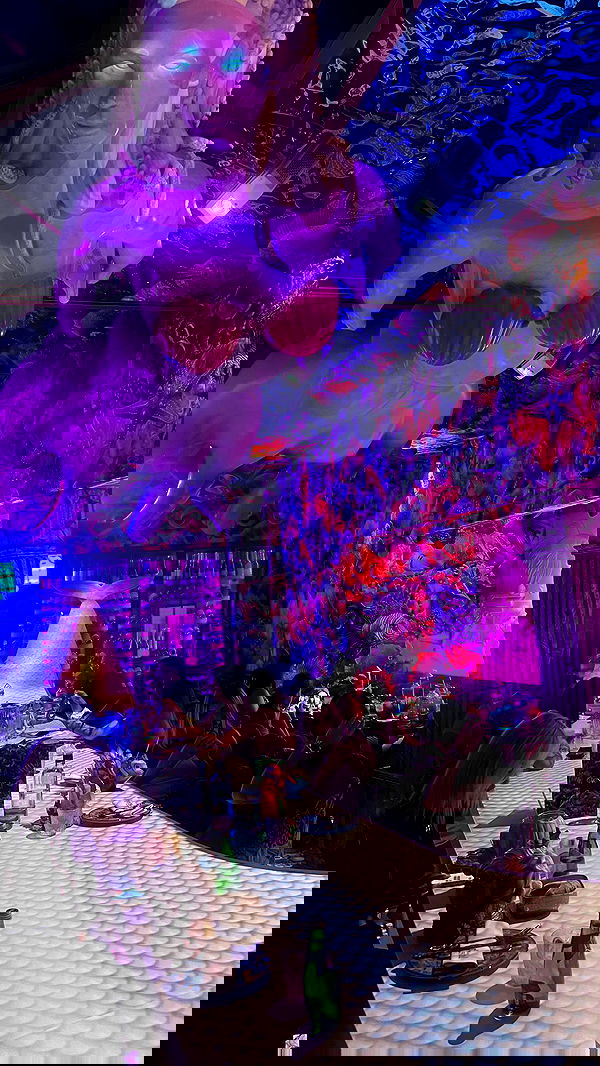 diana_polin diana_polin archive image