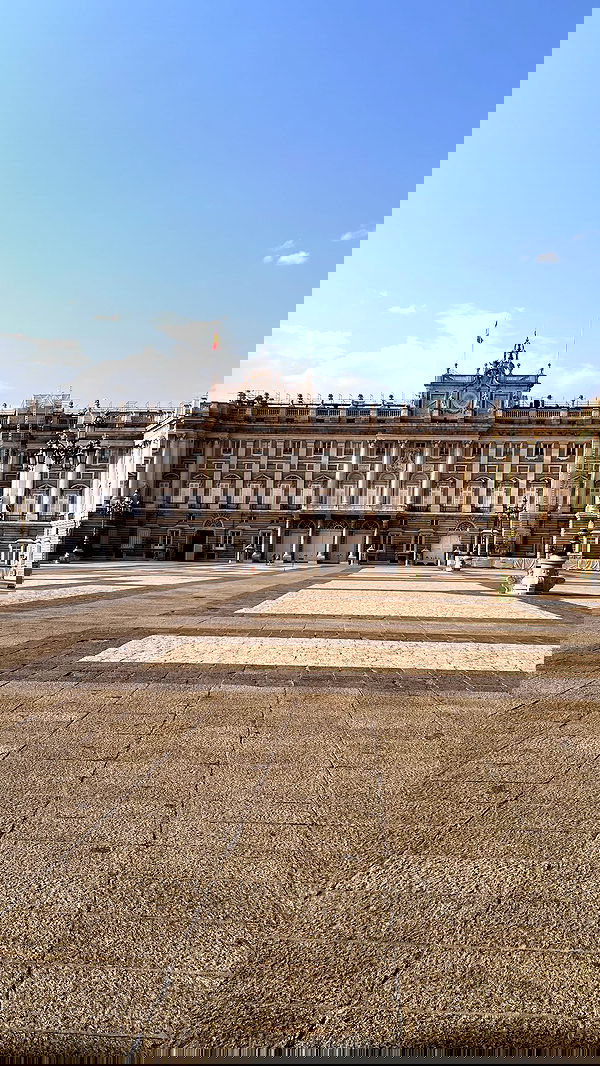 diana_polin diana_polin archive image