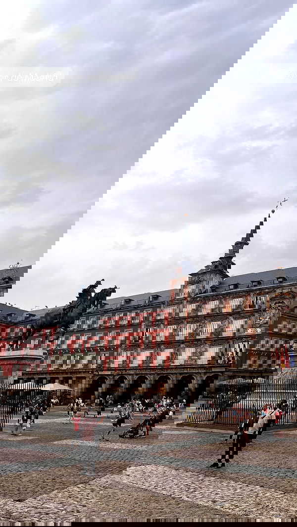 diana_polin diana_polin archive image