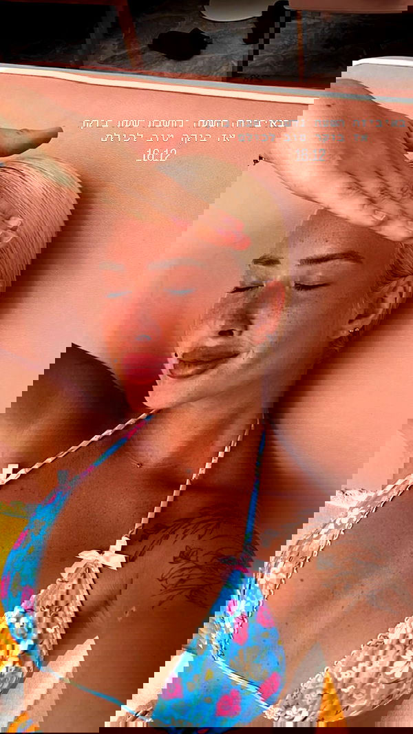 diana_polin diana_polin archive image