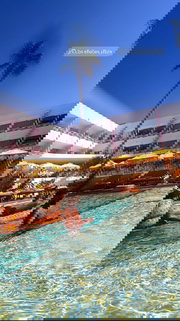 diana_polin diana_polin archive image