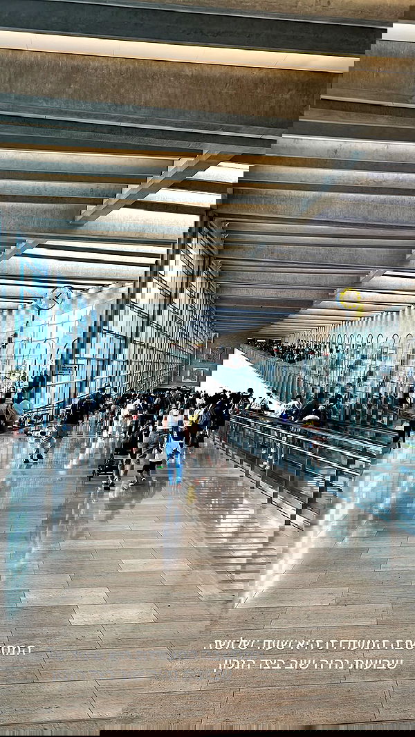 diana_polin diana_polin archive image