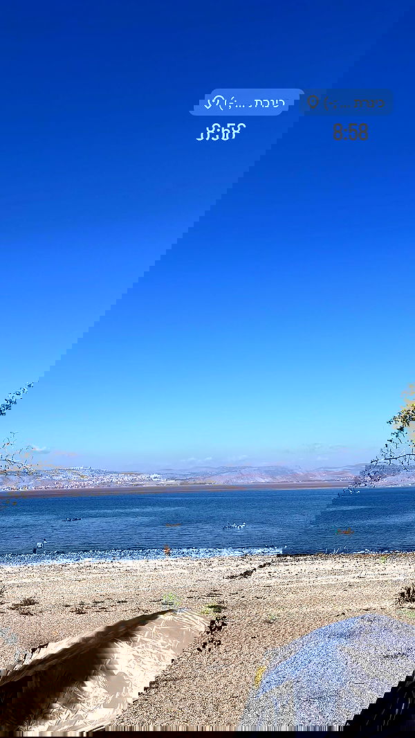 diana_polin diana_polin archive image