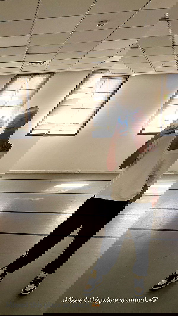 diana_polin diana_polin archive image