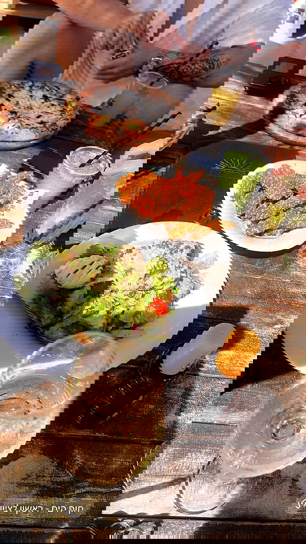 diana_polin diana_polin archive image