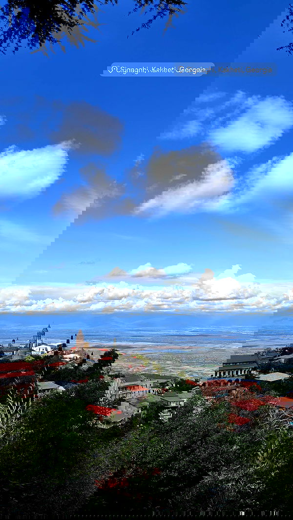 diana_polin diana_polin archive image