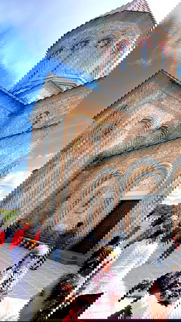 diana_polin diana_polin archive image