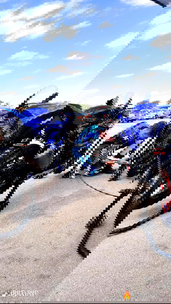 diana_polin diana_polin archive image