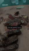 diana_rizz Altpins Profile Picture