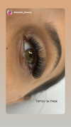diana_tal_ Altpins Profile Picture