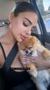 diana_tal_ Altpins Profile Picture