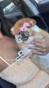 diana_tal_ Altpins Profile Picture