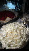 diana_tal_ Altpins Profile Picture