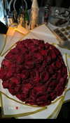 diana_tal_ Altpins Profile Picture