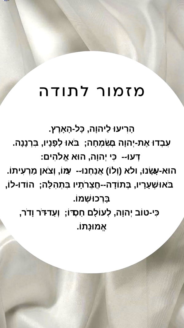 diana_tal_ instagram image archive image