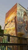diana_tal_ Altpins Profile Picture