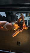 diaz._g Altpins Profile Picture