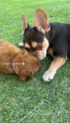diaz._g Altpins Profile Picture
