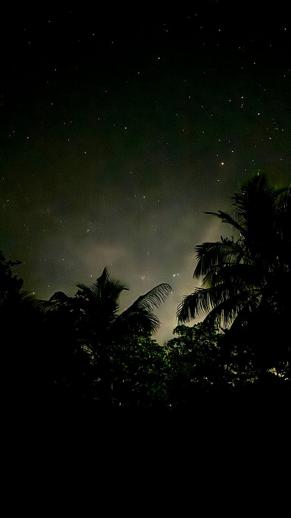 digital.grave instagram image archive image