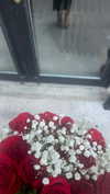 digital.grave Altpins Profile Picture