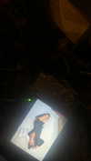 digital.grave Altpins Profile Picture
