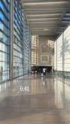 dina_shrago Altpins Profile Picture