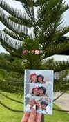 dina_shrago Altpins Profile Picture
